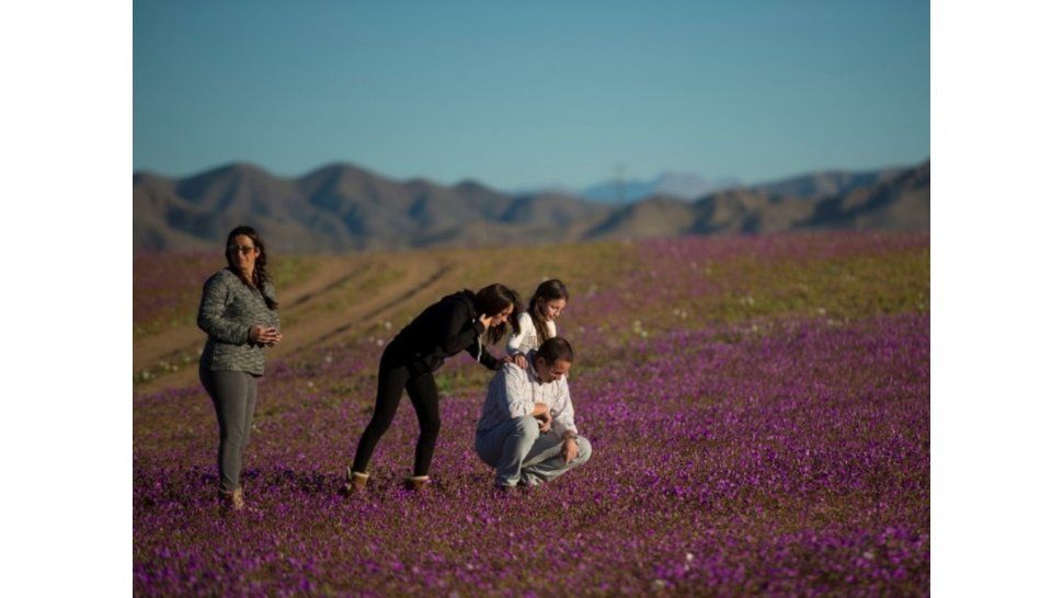 Desierto de Atacama