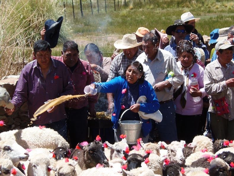 Dentro del rito de la Señalada, la chaya y el mojón con papel picado y serpentina son primordiales para agradecer a la Pachamama.