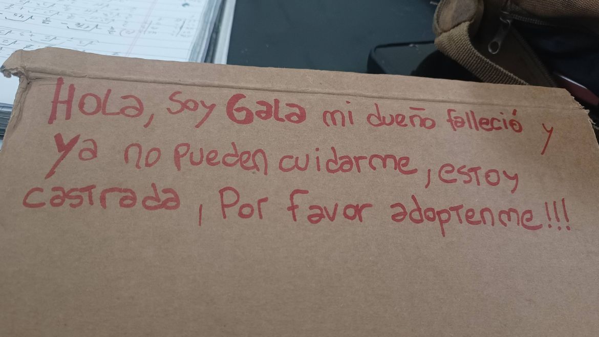 El cartel.