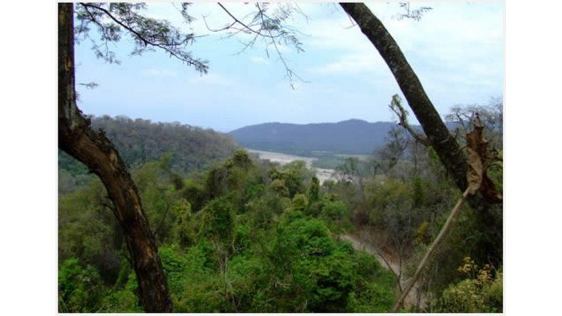 Parque Calilegua