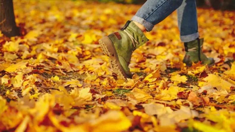 Cuándo empieza el otoño 2026 en la Argentina. &nbsp;
