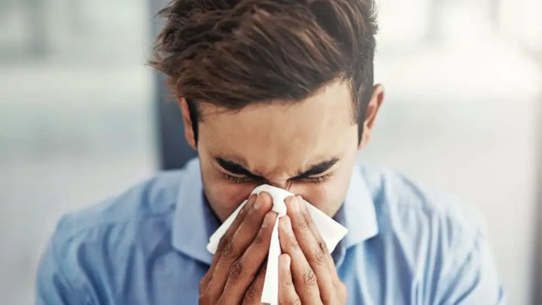 La gripe H3N2 arrasa en Europa y Estados Unidos.