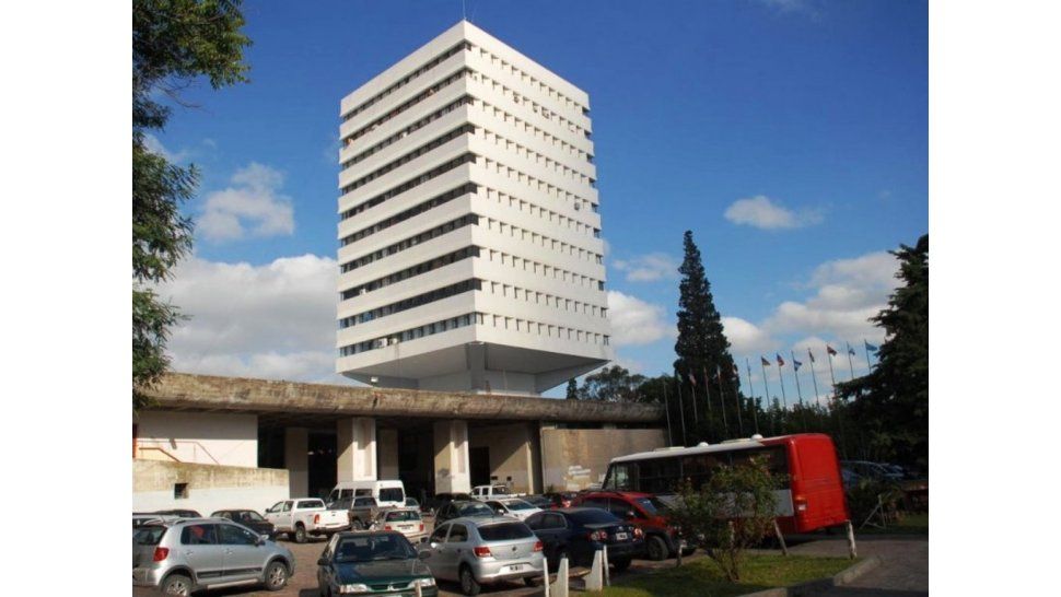 Actividad en Tribunales