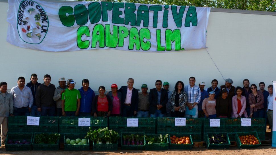 Cultivos de Aguas Calientes llegaron a las góndolas de supermercados nacionales