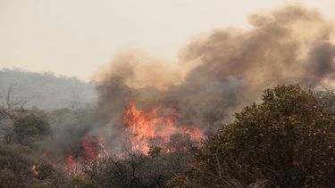 Córdoba: hay 11 detenidos por los incendios forestales intencionales.