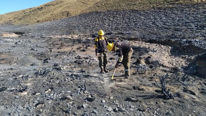 Las inscripciones estarán abiertas de manera online desde el 28 de enero al 10 de febrero, y aquellas personas interesadas deben completar un formulario y adjuntar la documentación solicitada.