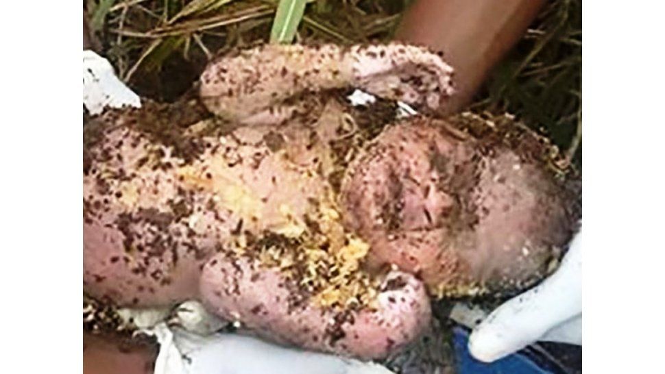 Bebé enterrado vivo
