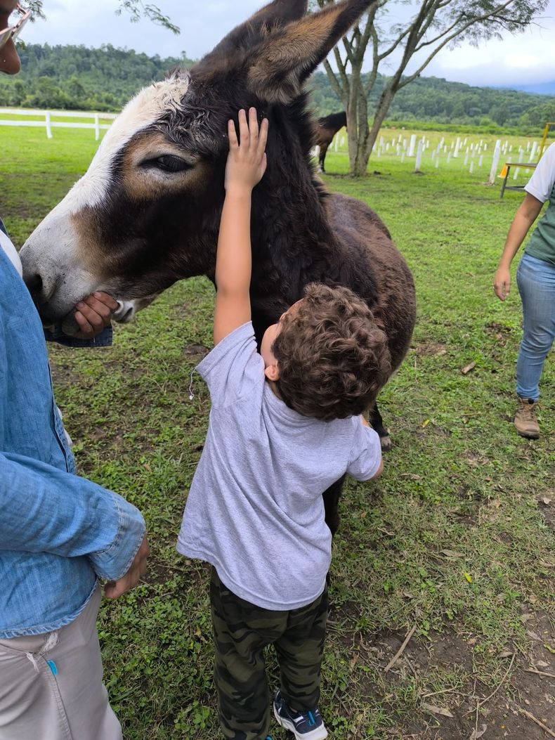 Fundación Jujeña de Equinoterapia. Fundación Jujeña de Equinoterapia.