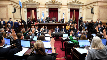 El Senado aprobó la Ley de Inviolabilidad de la Propiedad Privada