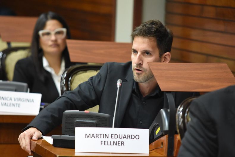 Sesión en la Legislatura: diputado Martín Fellner.