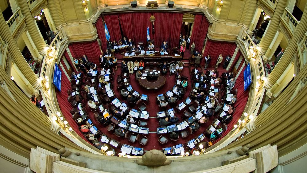 Legalización del aborto: el Senado vota el proyecto el 8 de agosto