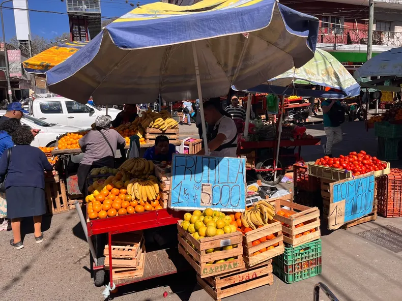 Las frutillas, las más elegidas de la época.