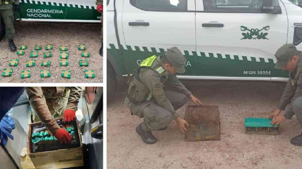 Colectivoque salió de Jujuy fue detenido en La Rioja&nbsp;
