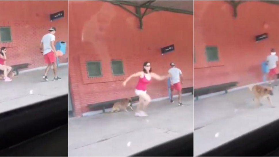¡Indignante! Subió corriendo al tren y dejó a su perro abandonado en el andén