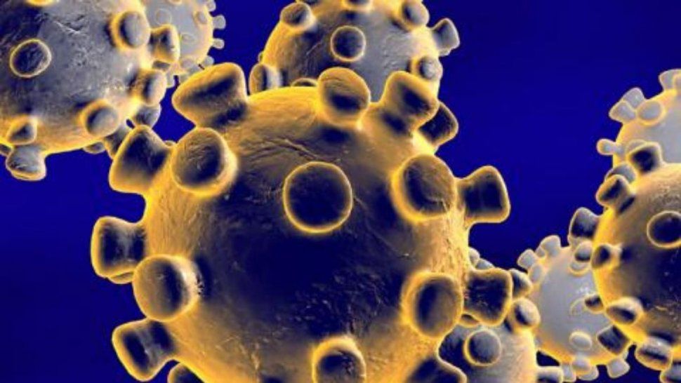 El Coronavirus es pandemia