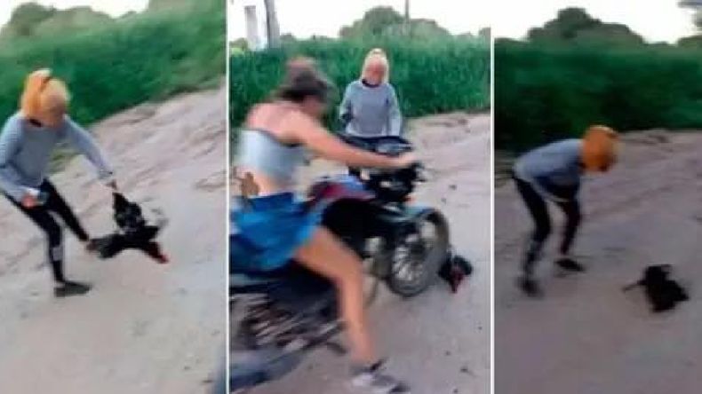 En Santiagodel Estero denuncian a dos mujeres por torturar y matar animales