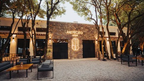 Todo Jujuy | Antropo Wines