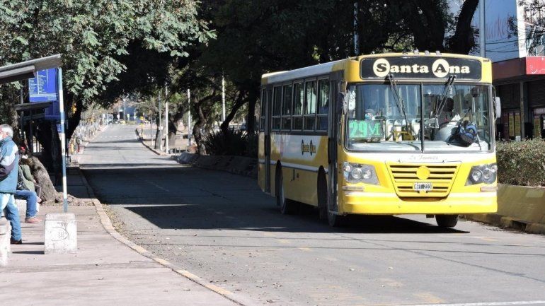 colectivo (5).jpg