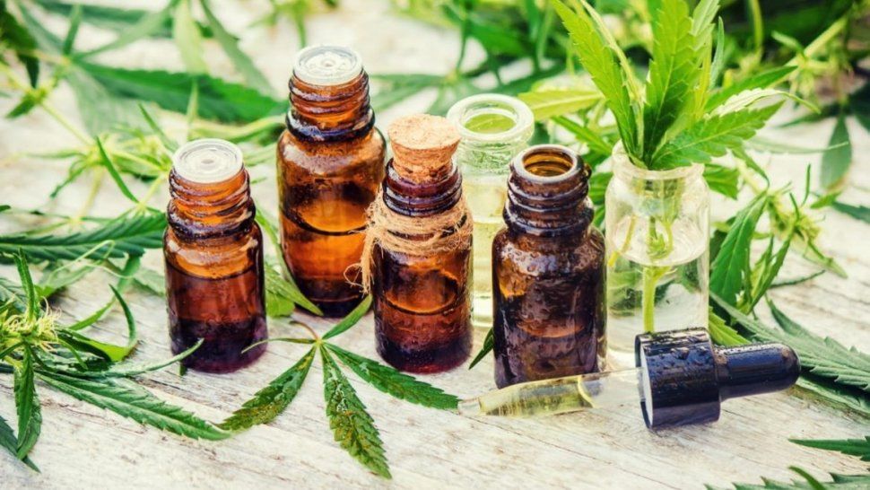 Farmacéuticos aseguran que el cannabis medicinal todavía no está a la venta