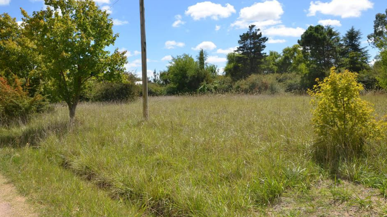 Tierras fiscales - Foto alusiva