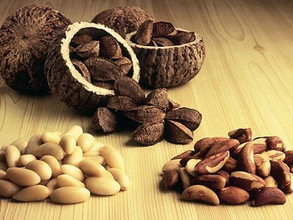 Nueces de brasil
