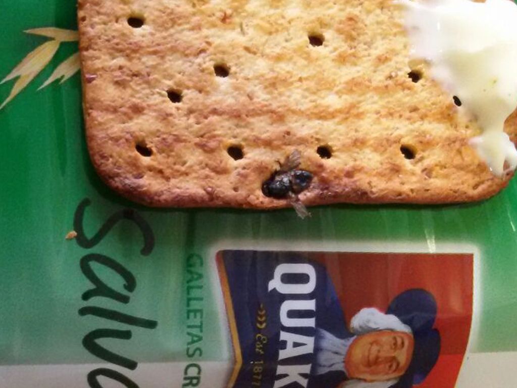 Mosca en la galleta