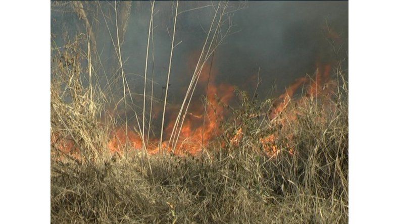 Incendios forestales