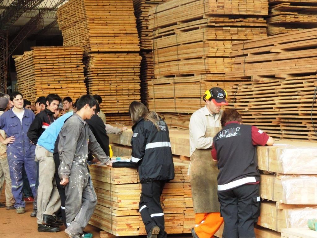 Acciones en empresa forestal