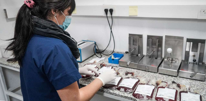 La importancia del técnico en hemoterapia radica en su papel fundamental en la garantía de procesos seguros y eficientes en la transfusión sanguínea, actuando como un puente entre la donación y el paciente.