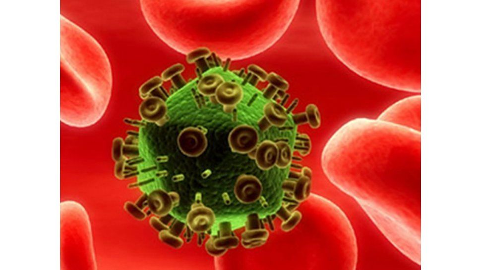 Importante descubrimiento