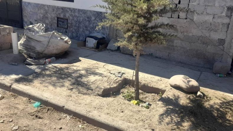 Imagen capturada por Canal 4 correspondiente al año 2025