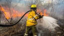 Peligro de incendios forestales (Archivo)