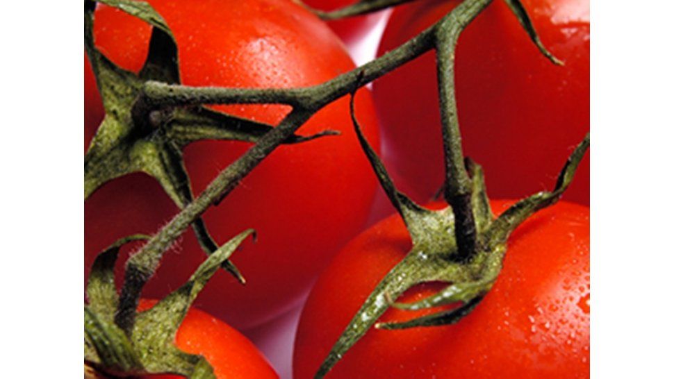 Los beneficios del tomate