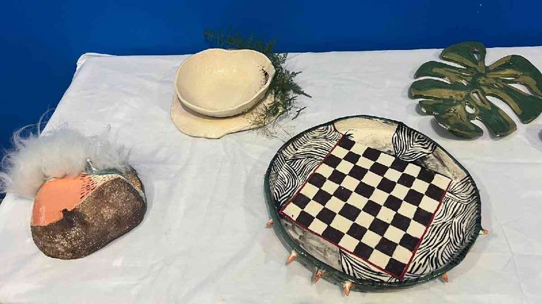 Cobalto presentó una muestra abierta al público