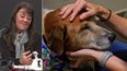 Raquel Moreno es rescatista de animales y dejó un gran mensaje.