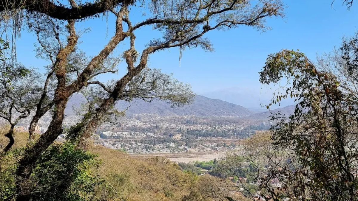 Clima en Jujuy: llega un domingo con máxima de 29ºC