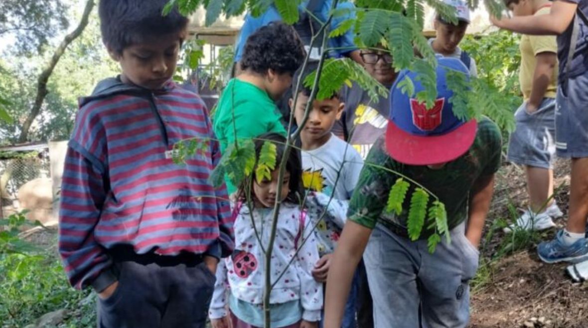 Parque Botánico: convocan a los más chicos a sumarse