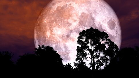Todo Jujuy | Astrología