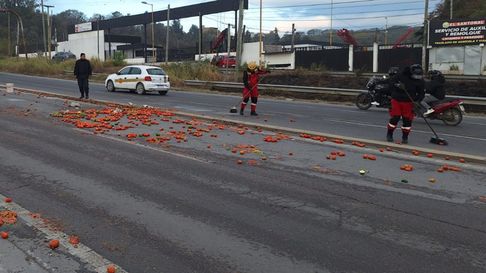 Todo Jujuy | vERDURAS