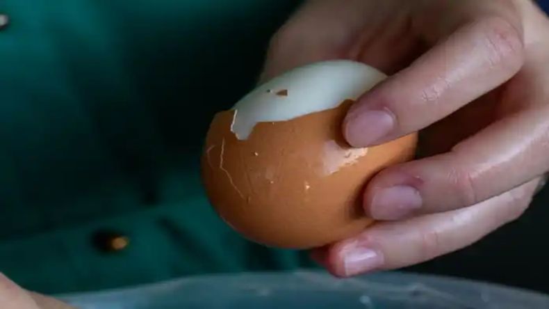 En los huevos de gallina, la clara se cuece a 85 grados y la yema a 65 grados.