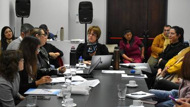 El Ministerio Público de la Defensa pedirá una revisión de la Ley de Salud Mental