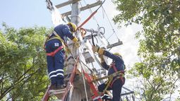 Este lunes 30 de julio habrá trabajos de mantenimiento: éstas serán las zonas afectadas