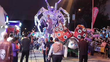 Carroza para la FNE 2024.