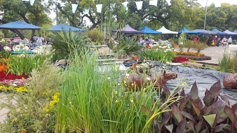 Jujuy Florece. Jujuy Florece.