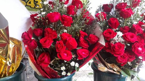 Todo Jujuy | rosas.jpg