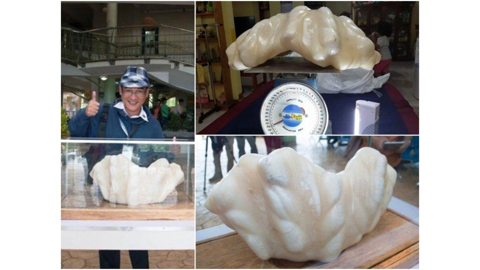 La perla más grande del mundo