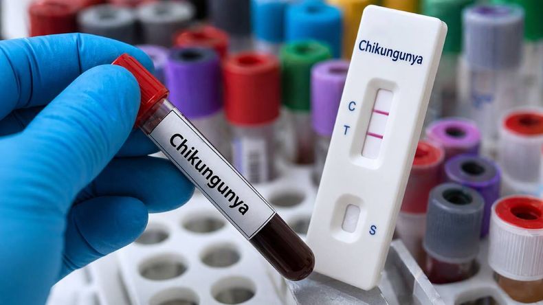 Prevención del chikungunya en Jujuy.