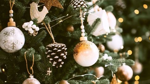 Todo Jujuy | Navidad: los 9 adornos que no pueden faltar en tu arbolito para un buen 2025