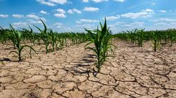Se localizaron 140 millones de hectáreas en sequía en Argentina.