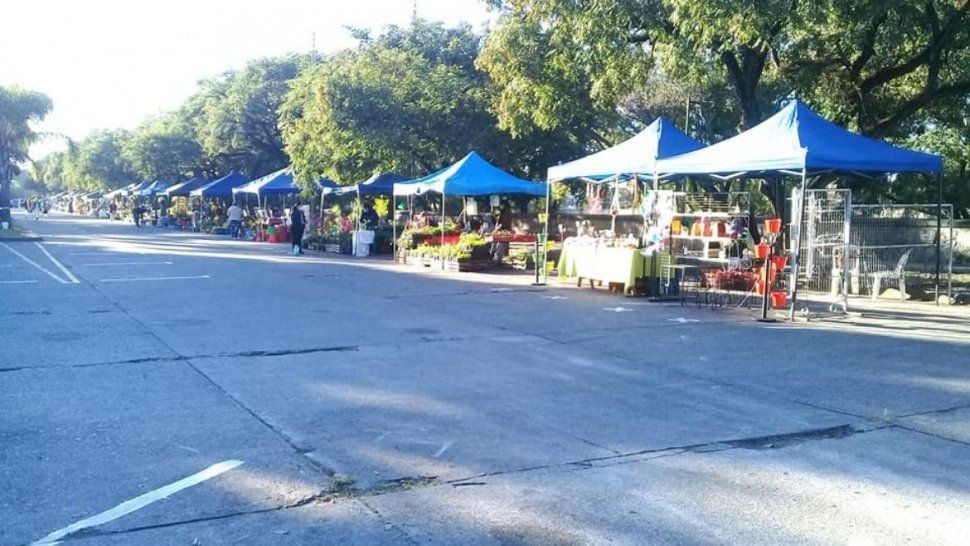 Paseo de las Plantas&nbsp;